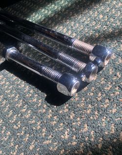 Chrome mini bike bolts