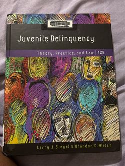 Juvenile Delinquency Theory,Practice, and Law