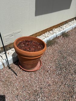 Terracotta Pot & Saucer
