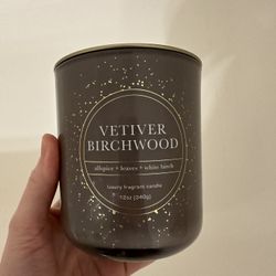 New 2 Wick Candle - White Birch/fresh Leaves/allspice  