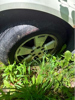 Ss tires