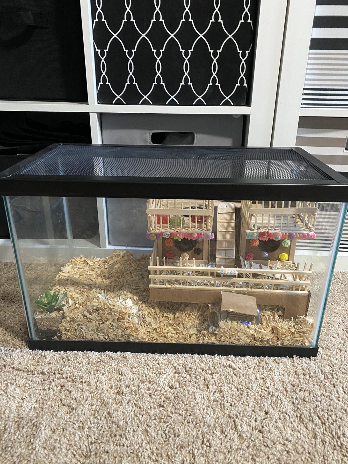 10 gallons fish tank with top