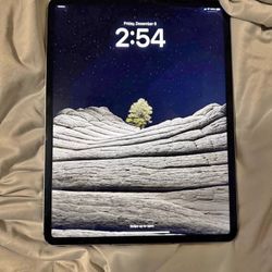 iPad Pro (12.9) (5th generation) With Zugu iPad Case