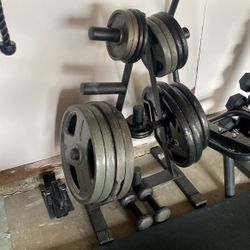 Stand And Only Plates 