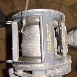 Daiwa Sealine Fishing Pole!