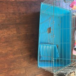 Guinea Pig Cage 