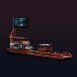 Ergatta Waterrower Luxe