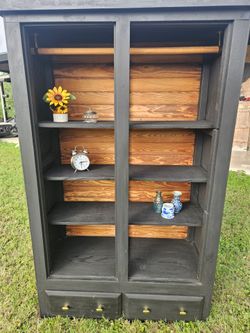 Closet/display case its a 2 in 1