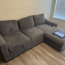 Coach /sofa Bed 