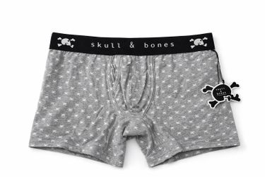 Skull & Bones Men’s Boxer Briefs – Size Medium (32–33” Waist), Gray