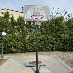 Basketball HOOP 8 Feet