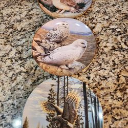 15 Collectible Wildlife Plates.  One Low Price 