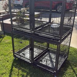 Dog Kennel