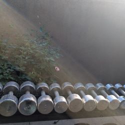 Ivanko dumbbells