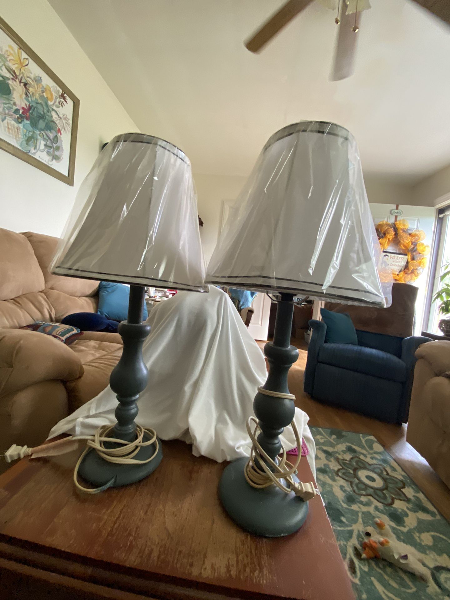 Bedside Table Lamps  Used With New Shades Porch Pick Up Only