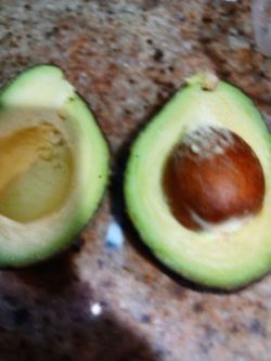 Category 1 hass avocado