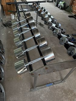 Chrome Dumbbell Set with Stand (15-55 lbs) - Paramount