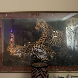 Leopard Picture Large