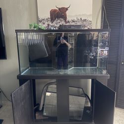 Fish Tank 100 Gallons