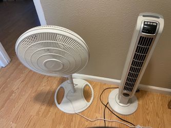 Fan