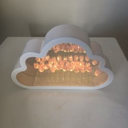 Tulip Mirror Light Night 