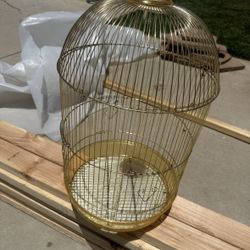 gold bird cage