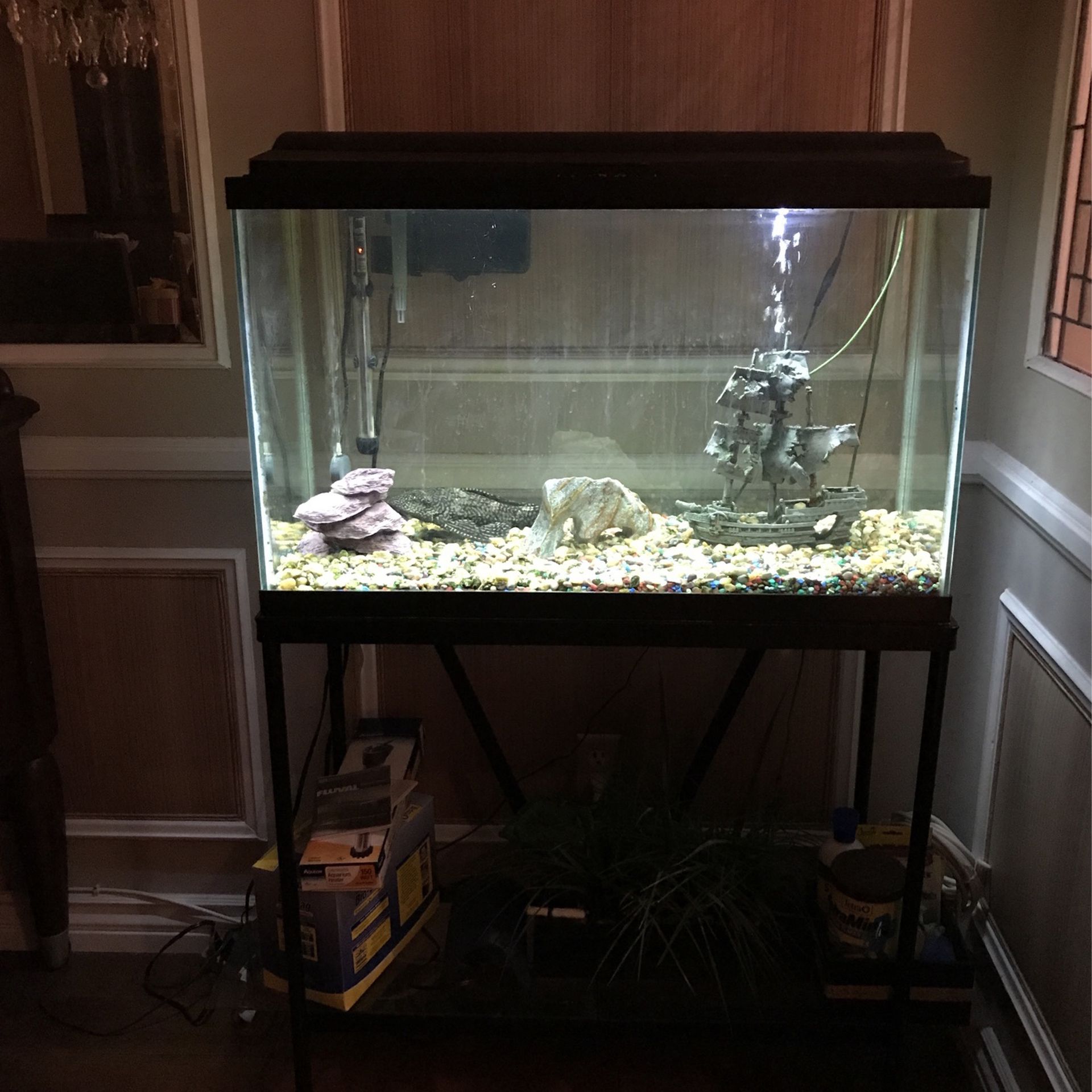 29-gallon Fish Tank