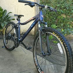 LIV BLIS From the Giant Family. 