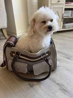 Dog Carrying Bag