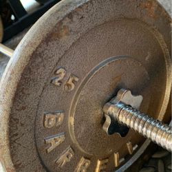 Barbell with Weights