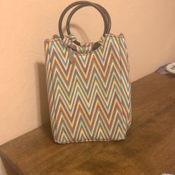 Fit and Fresh Insulated Lunch Tote.        Gently Used 