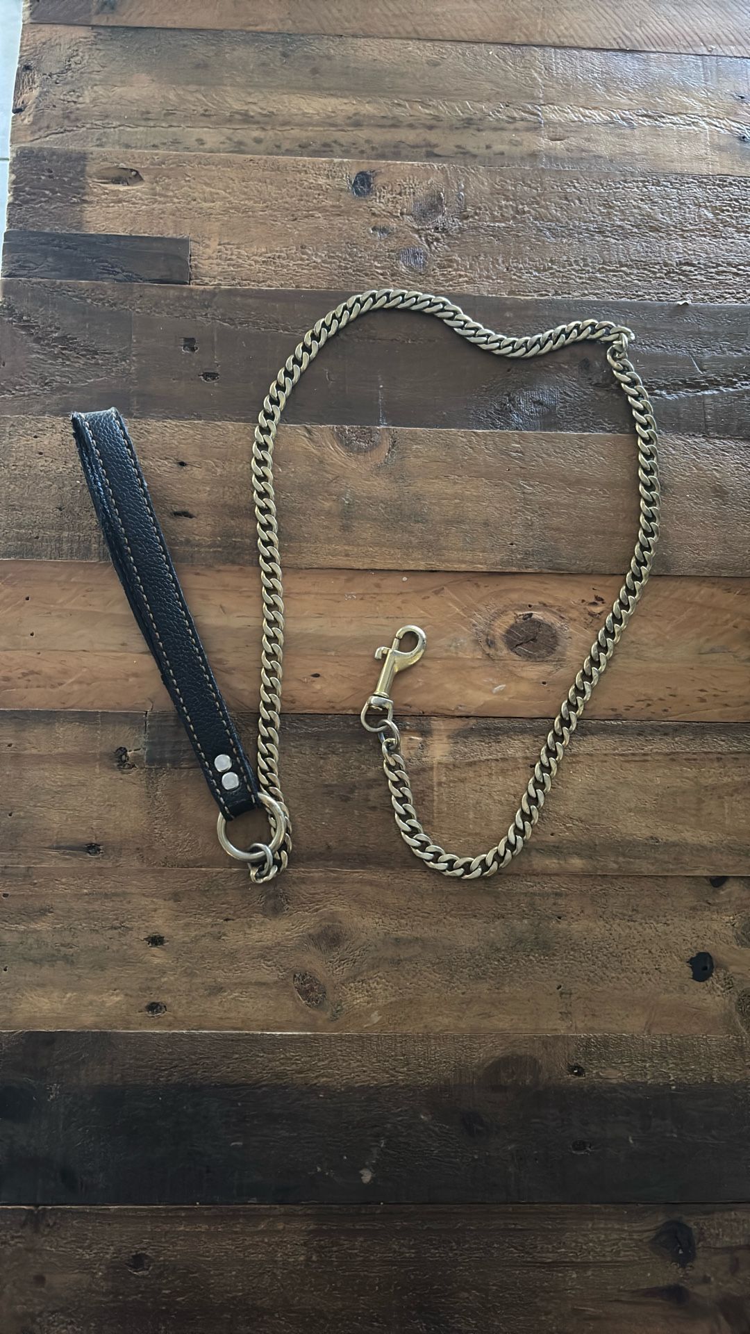 Gold Metal Dog Leash