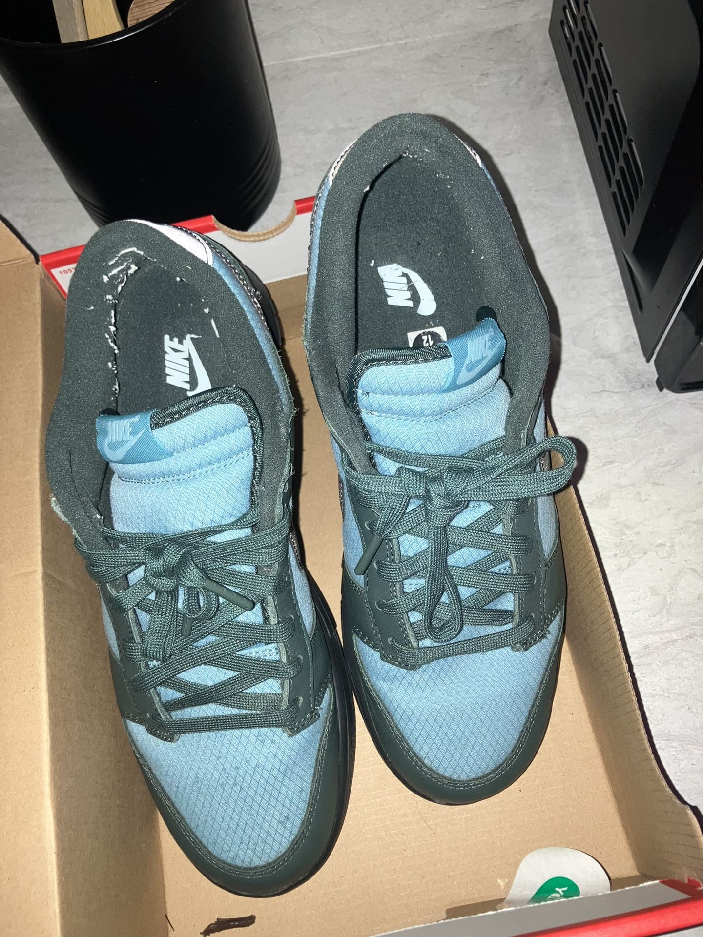 Nike Dunk Size 12