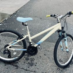 24" Wheel RAVEN Multiple Speed Kids Mountain Bike ~4'9"-5'0"