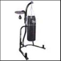 Everlast Punching Bag and Stand.