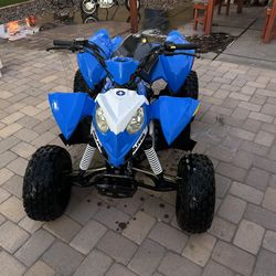 2018 Polaris 110 Outlaw 