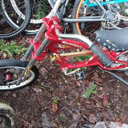 Kids Schwinn Stingray 