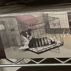 Dog Crate