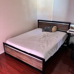 Queen Bedframe With Backlight