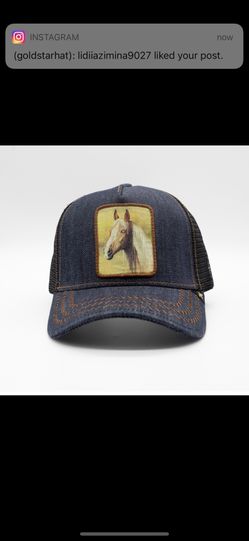 Gold Star Hat Horse 
