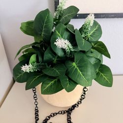 Hanging Plant Decor
