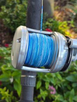 Penn International 12..2 Speed/Braid/Custom Rod