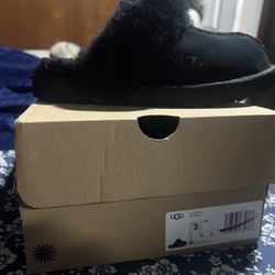Uggs 