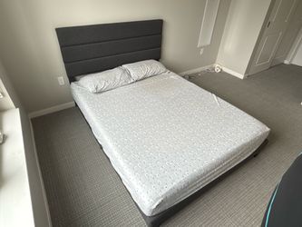 Queen Bed Frame-  Upholstered Platform - with Channel Tufted Headboard