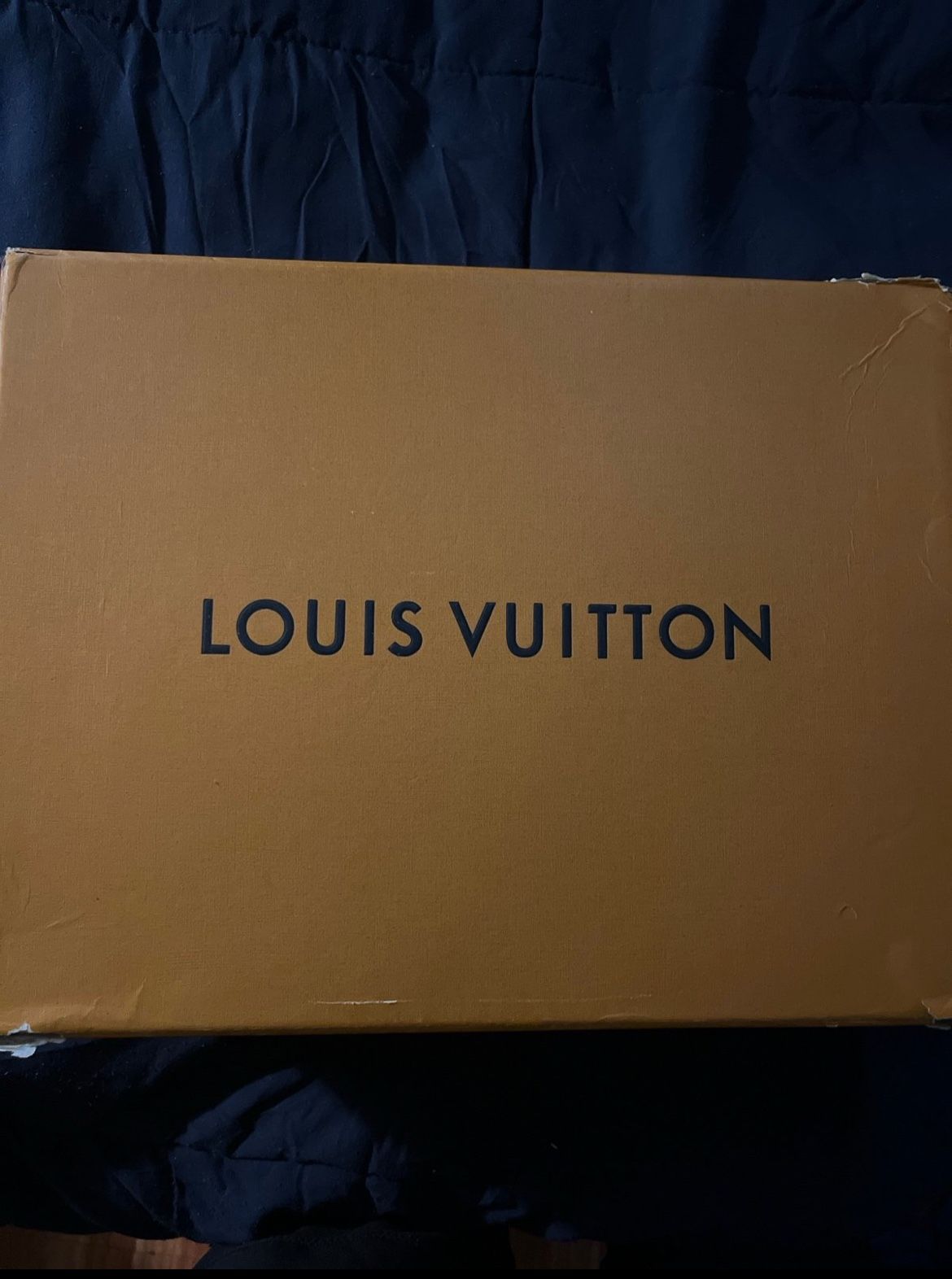 Louis Vuitton Shoes