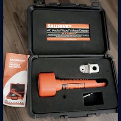 Salisbury Voltage Detector 