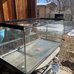 40 Gal Tank 