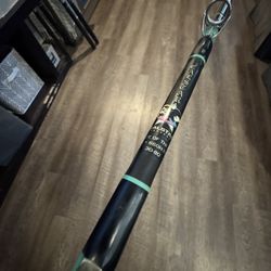 Calstar BWC 660H RSRT Salt Water Fishing rod. 