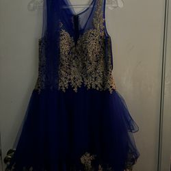 Blue & Gold Dress