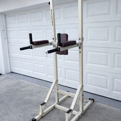 Gold's Gym Power Tower 2500